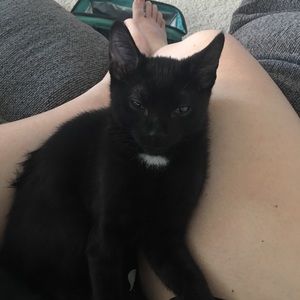 Meet your Posher, Janae